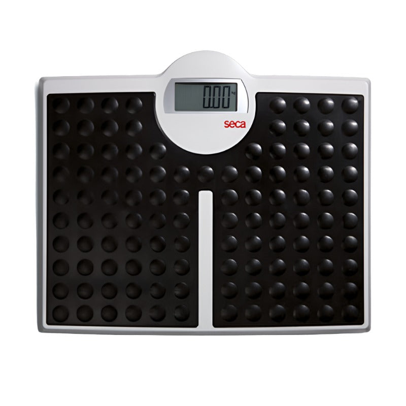 scale-floor-digital-813-high-capacity